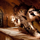 ImageL HBO. A dragon skull hidden in King’s Landing.